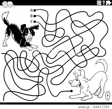 maze with playful dogs coloring book page maze with playful dogs coloring book page 68457294