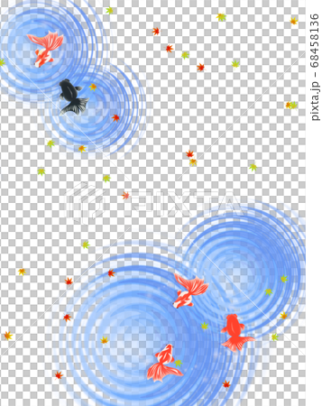 水面を泳ぐ金魚のイラスト 水面を泳ぐ金魚のイラスト 68458136