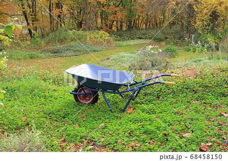 紅葉の雑木林の庭をバックに農作業用の一輪車 紅葉の雑木林の庭をバックに農作業用の一輪車 68458150