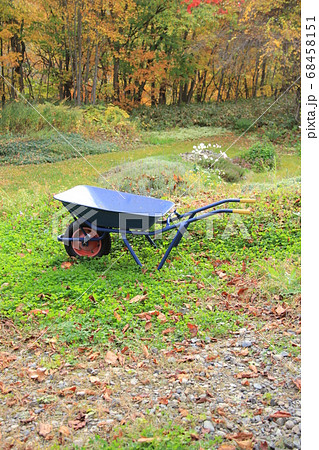 紅葉の雑木林の庭をバックに農作業用の一輪車 68458151