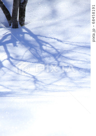 木の影と雪面模様、冬の庭 木の影と雪面模様、冬の庭 68458191