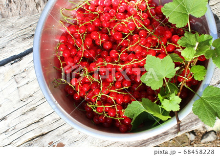 ボウルいっぱいに摘み取った真っ赤なフサスグリの実、木目バック 68458228