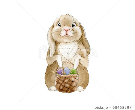 Funny Easter bunny with a basket watercolor image. 68458297