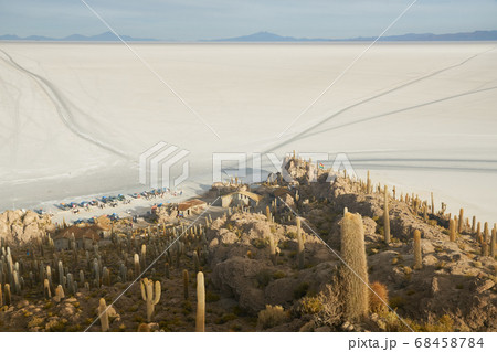 Captus and the Uyuni salar desert. South of Bolivia. 68458784