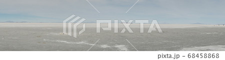 Pano of sun rise shot of captus and the Uyuni salar desert. South of Bolivia. 68458868