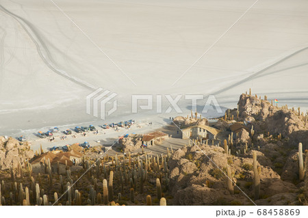 Captus and the Uyuni salar desert. South of Bolivia. 68458869