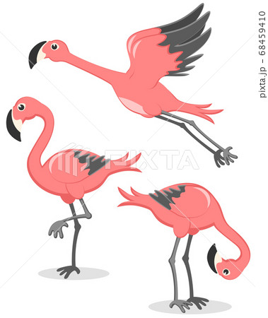 Set of pink flamingos in different poses. Flamingo - Stock