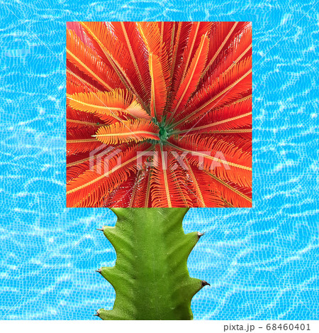 Contemporary collage. Abstract palm tree on blue water background. Summer concept, abstraction. 68460401