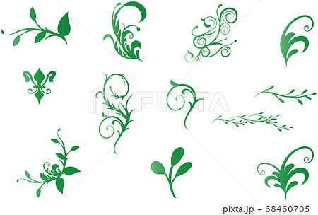 フローラルは葉っぱ 植物デザイン素材のイラスト素材