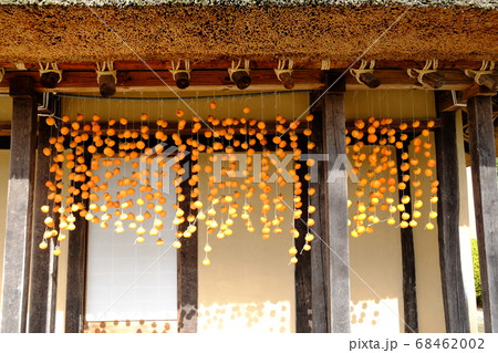 民家と干し柿 民家と干し柿 68462002