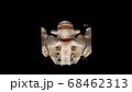 Computed Tomography Volume Rendering examination of the  sacroiliac joints ( CT VR sacroiliac joints). 3D rendering 68462313
