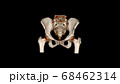 Computed Tomography Volume Rendering examination of the  pelvic bones ( CT VR pelvic bones). 3D rendering 68462314