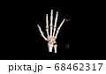Computed Tomography Volume Rendering examination of the hand showing normal anatomy ( CT VR hand). 3D rendering 68462317