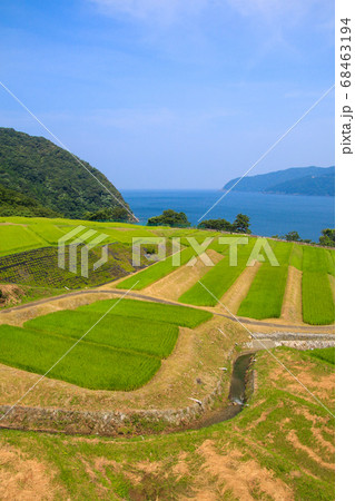 田烏の棚田 田烏の棚田 68463194