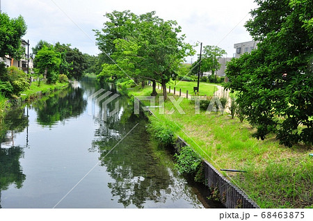 静岡県三島市　源兵衛川終点のため池「中郷温水池」 68463875