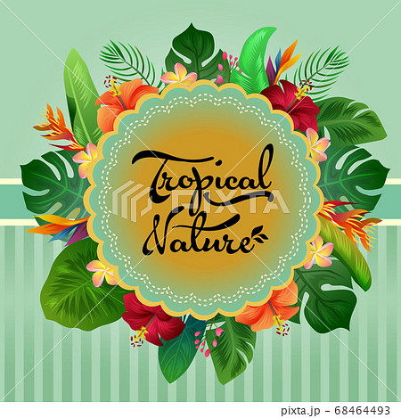 tropical nature card summer colored leaves 68464493
