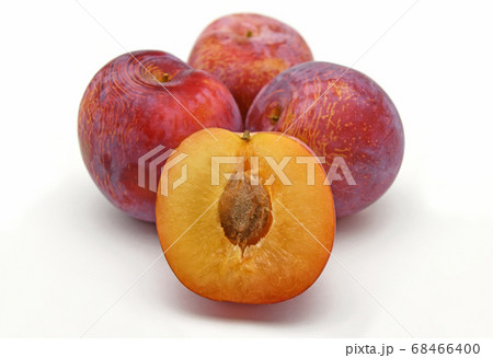 プラム(皇寿) プラム(皇寿) 68466400