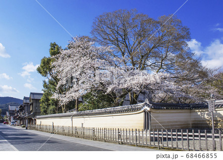 おはらい町参道 桜咲くおはらい町 伊勢神宮内宮 伊勢志摩観光 おはらい町参道 桜咲くおはらい町 伊勢神宮内宮 伊勢志摩観光 68466855