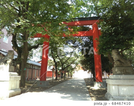 東京　新宿　花園神社　鳥居 68467410
