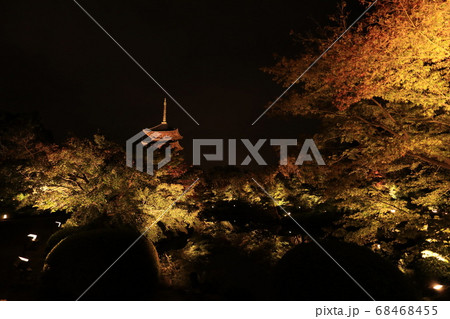 東寺　五重塔のライトアップ 68468455