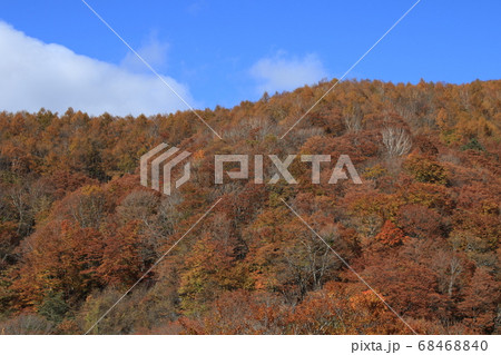 日塩もみじラインの紅葉 日塩もみじラインの紅葉 68468840