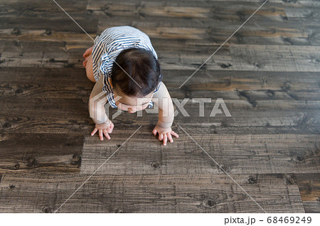 部屋ではいはいする赤ちゃん 俯瞰の写真素材