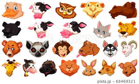 Set of different cute cartoon animals head huge 68469321
