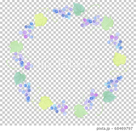 Wild grape wreath painted in watercolor 68469797