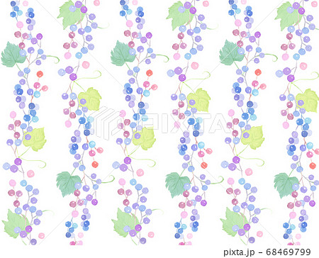 水彩で描いた野ブドウの背景 68469799