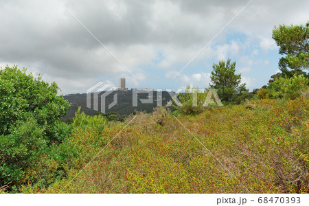 University of Haifa on Mount Carmel 68470393