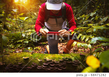 Asian backpacker hiking and travel in deep forest 68471282
