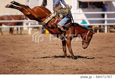 Cowboy Rides Bucking Rodeo Horse Cowboy Rides Bucking Rodeo Horse 68471767