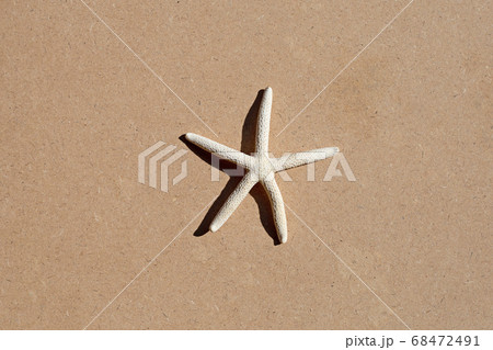 Starfish on brown plywood background. 68472491
