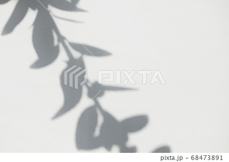 White blurred surface with shadows from tree branches. Abstract photo overlay plant texture light background. Copyspace. White blurred surface with shadows from tree branches. Abstract photo overlay plant texture light background. Copyspace. 68473891