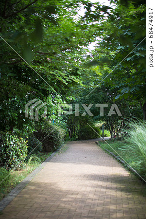 公園に続く緑道 68474917