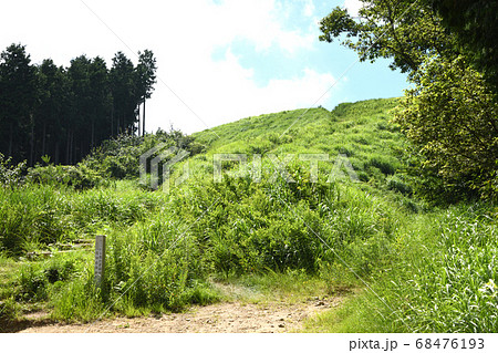 岩湧山の夏 岩湧山の夏 68476193