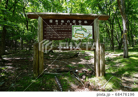 栃木県日光市中禅寺湖畔 中禅寺湖周回歩道にある阿世潟峠登山口 栃木県日光市中禅寺湖畔 中禅寺湖周回歩道にある阿世潟峠登山口 68476196