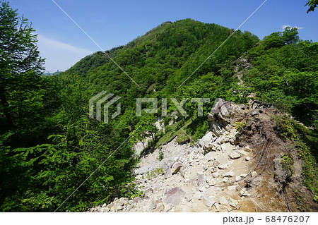 阿世潟峠から社山への登山道から社山の山頂へ続く尾根 阿世潟峠から社山への登山道から社山の山頂へ続く尾根 68476207
