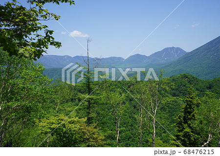 阿世潟峠から社山への登山道から戦場ヶ原方面を見る 68476215