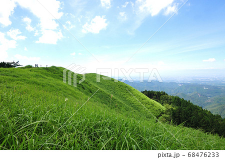 岩湧山の夏 岩湧山の夏 68476233