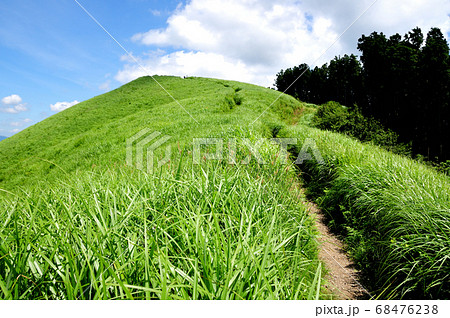 岩湧山の夏 68476238