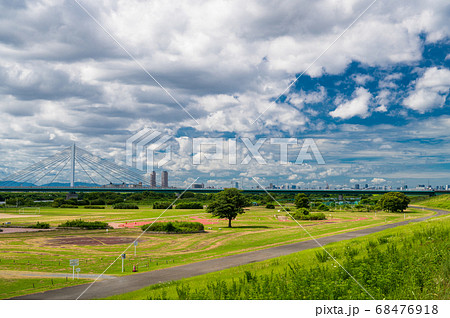 淀川の堤防から見た河川公園の写真素材