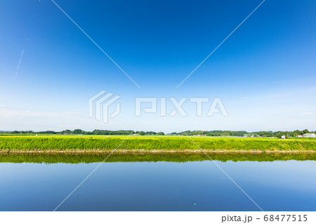 水鏡の溜池と出穂期の田の風景 68477515