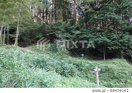 明知城(白鷹城) 明知城(白鷹城) 68479162