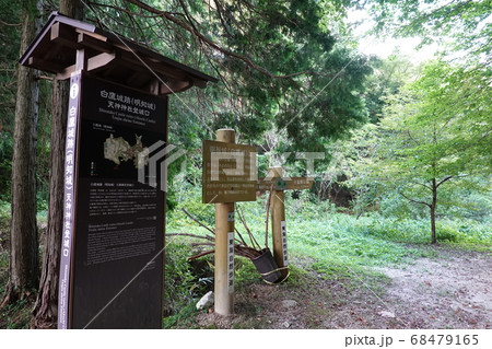 明知城(白鷹城) 明知城(白鷹城) 68479165