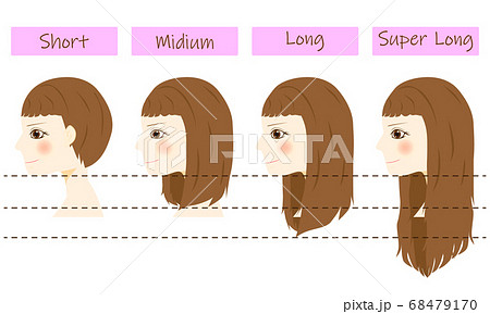 Hair Length Female Stock Illustration