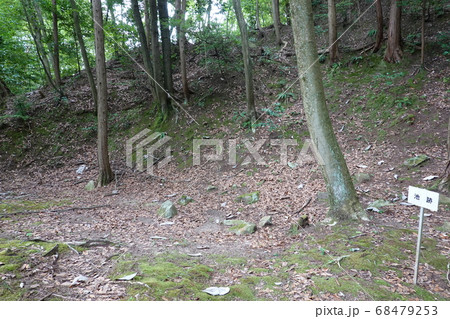 妻木城士屋敷跡 妻木城士屋敷跡 68479253