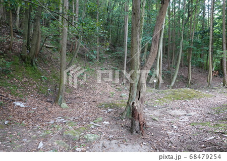 妻木城士屋敷跡 妻木城士屋敷跡 68479254