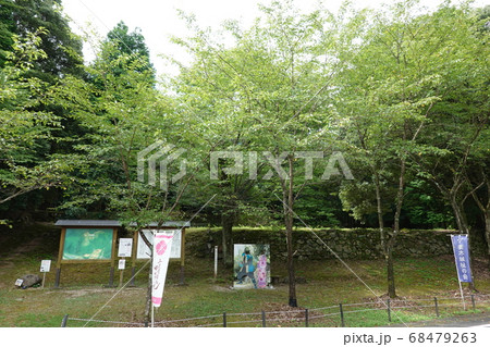 妻木城士屋敷跡 妻木城士屋敷跡 68479263