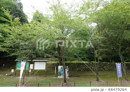 妻木城士屋敷跡 妻木城士屋敷跡 68479264